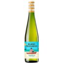 2501 - Verdejo Needle White Fisher