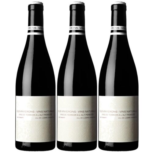 2223 - Red Wine Els Vinyerons Saltamartí