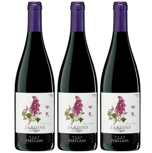 2508 - Red Wine Gardens of Perelada