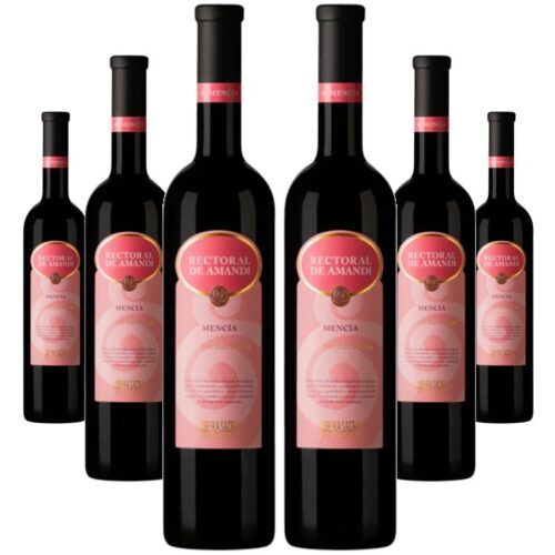 2642 - Red Wine Rectoral de Amandi - D.O. Ribeira Sacra