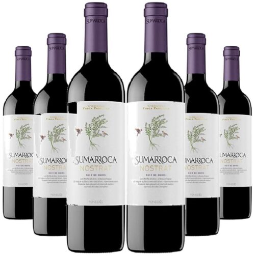 6 Ampolles - Vi Negre Sumarroca Nostrat Noir de Noirs Penedès 2225 - Red Wine Sumarroca Nostrat Black of Blacks
