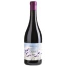 2811 - Red Wine Garbinada of Santgenís i Vaqué