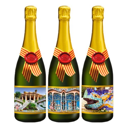 Assortment of Cava of Antoni Gaudí Brut Reserve