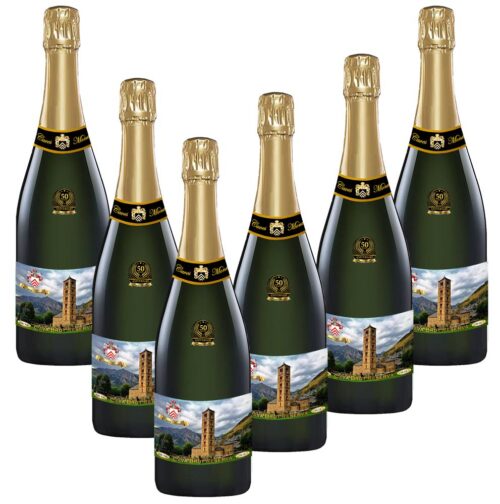 Cava Brut Reserve of Saint Climent of Taüll