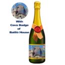 Cava of Batlló House Brut Reserve