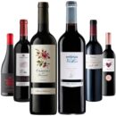 Second Tasting Box of 6 Red Wines of the Priorat