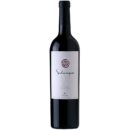 2825 - Red Wine Salanques of Mas Doix