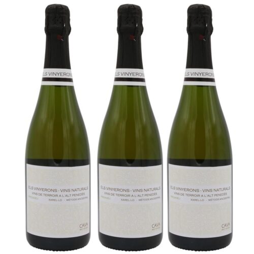 1244 - Cava Els Vinyerons Ancestral Brut Nature