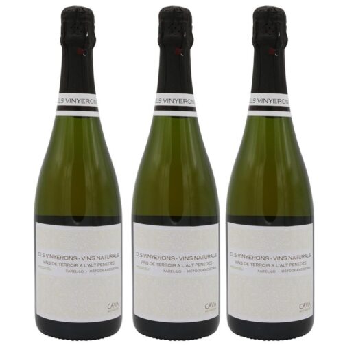 1244 - Cava Els Vinyerons Ancestral Brut Nature