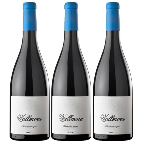 2454 - Red Wine Marfil Alella Vallmora Black Grenache Criança