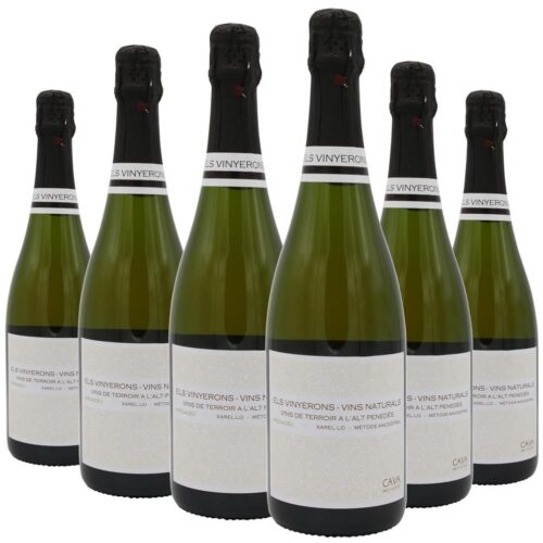 1244 - Cava Els Vinyerons Ancestral Brut Nature