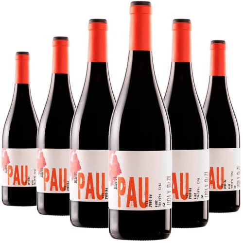 6 Ampolles - Vi Negre Lo Petit Pau Priorat 2824 - Red Wine Lo Petit Pau