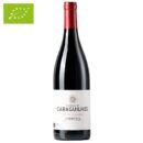 2922 - Red Wine Château de Caraguilhes - Les Gourgoules