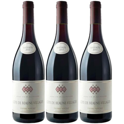 2937 - Red Wine Côte de Beaune-Villages of Pierre André