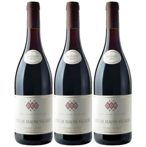 2937 - Red Wine Côte de Beaune-Villages of Pierre André