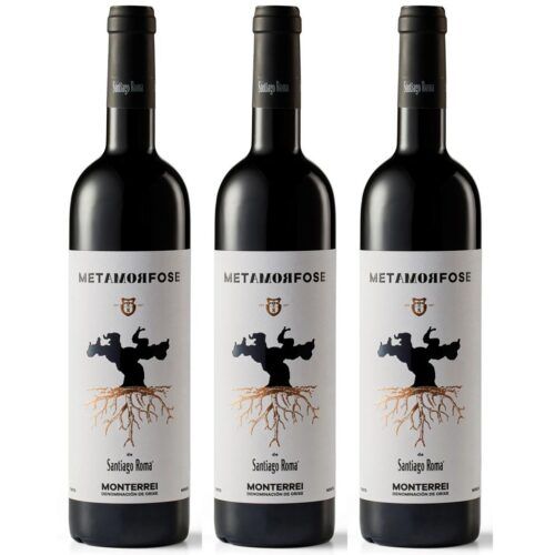 2645 - Metamorfose of Santiago Roma - Monterrei Mencía
