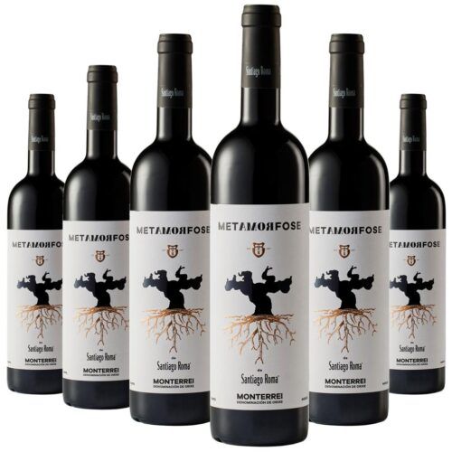 2645 - Metamorfose of Santiago Roma - Monterrei Mencía