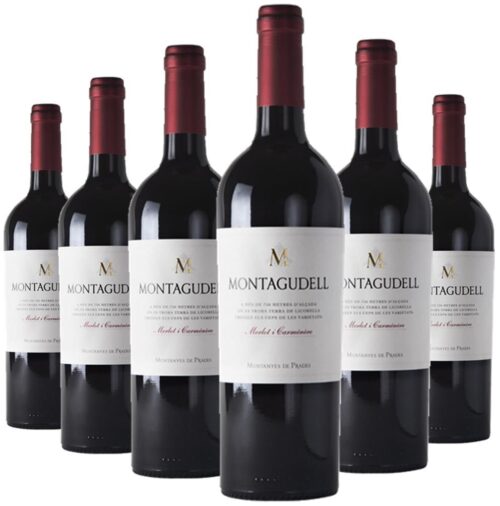 2205 - Red Wine Montagudell