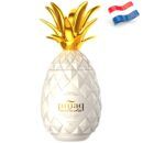 7181 - Piñaq Colada Dutch Liqueur 17º - 100 Cl.