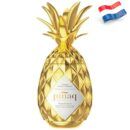 7180 - Piñaq Original Tropical Dutch Liqueur 17º - 100 Cl.